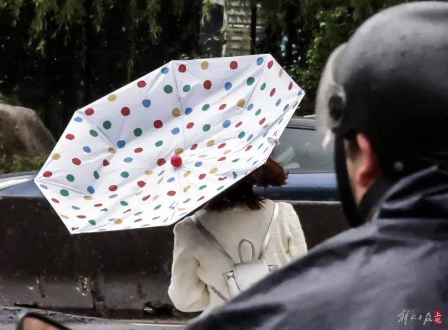 皇冠信用盘结算日是哪天_上海市民注意：暴雨将继续皇冠信用盘结算日是哪天，只要熬过今天就好！“苏州河满上来了？”官方最新回应→