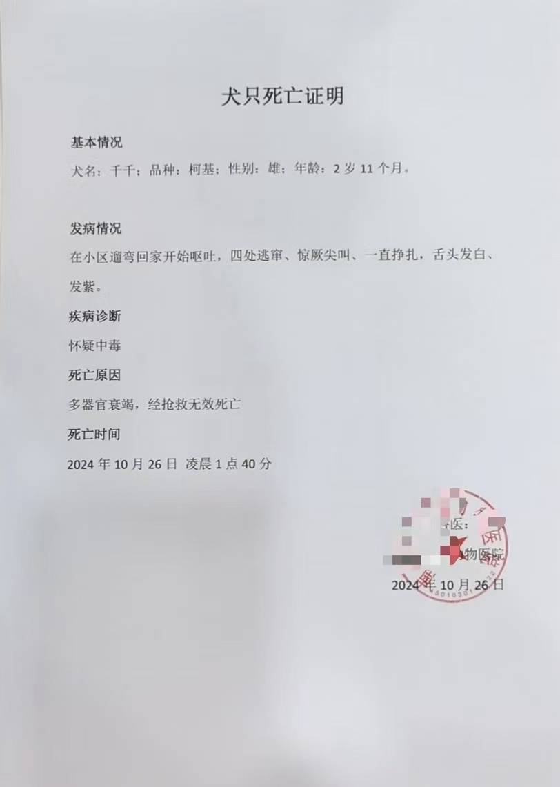 皇冠信用網怎么开账号_广西南宁一小区6只狗疑被毒死皇冠信用網怎么开账号，受害业主称“很谨慎仍遭投毒”，警方建议合并立案