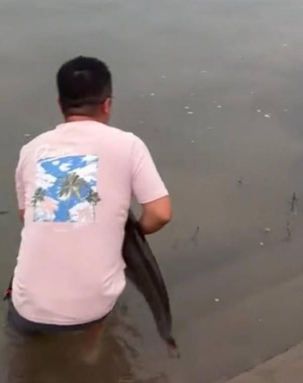 足球平台出租代理_四川一男子钓1米长大鱼后放生足球平台出租代理，围观者高呼“卖给我”，回应：钓鱼是为娱乐